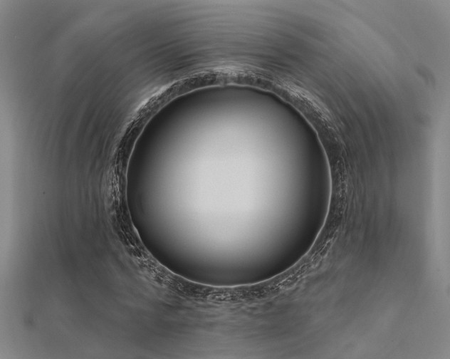 X0000112360776200908131455