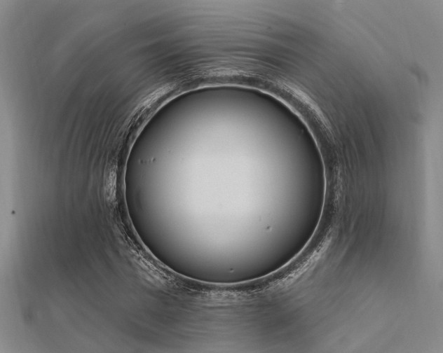 X0000112360777200908131455