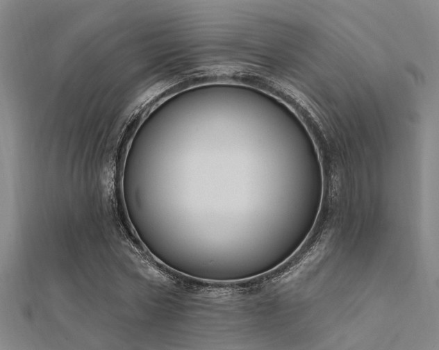 X0000112360778200908131455