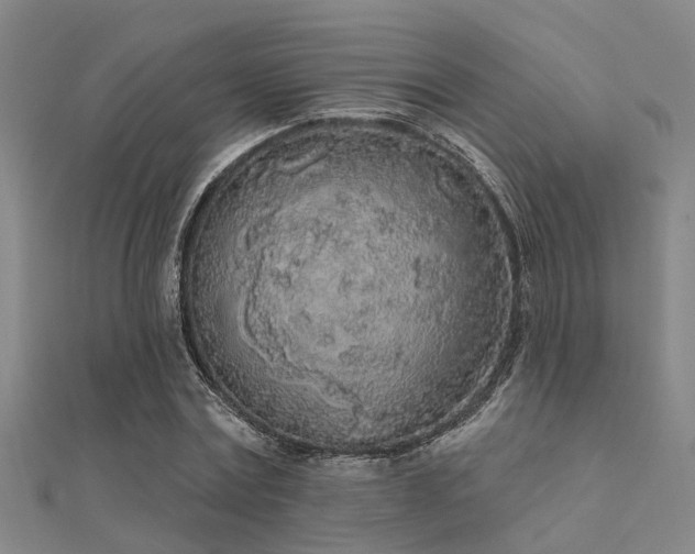 X0000112360779200908131455