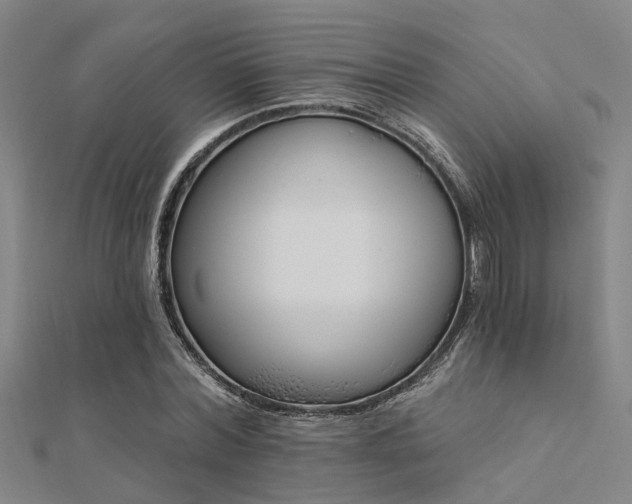 X0000112360780200908131455