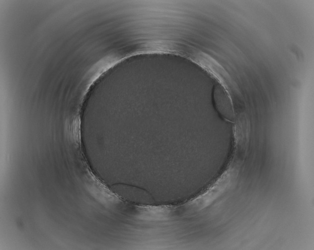X0000112360781200908131455