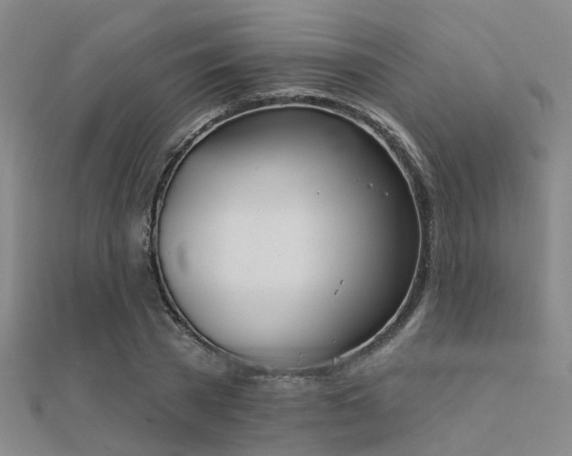 X0000112360785200908131454