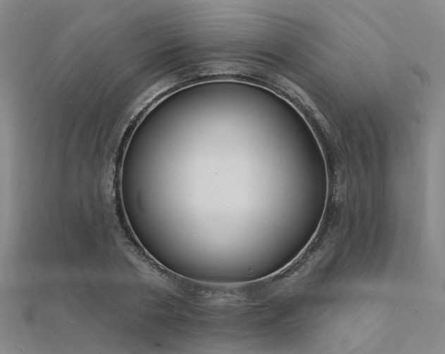 X0000112360786200908131454