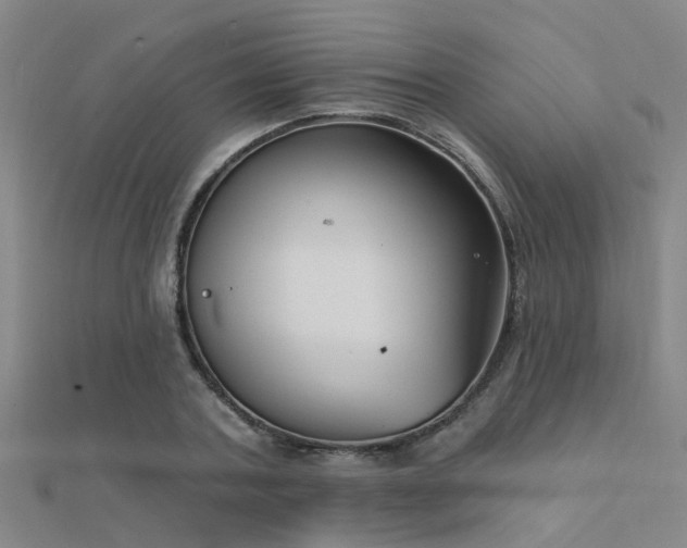 X0000112360787200908131454