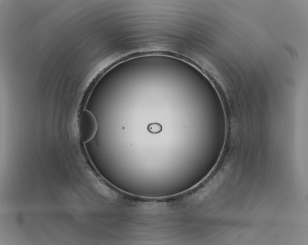 X0000112360789200908131454