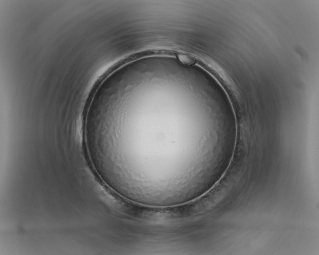 X0000112360791200908131454