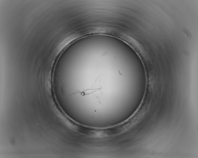 X0000112360794200908131454