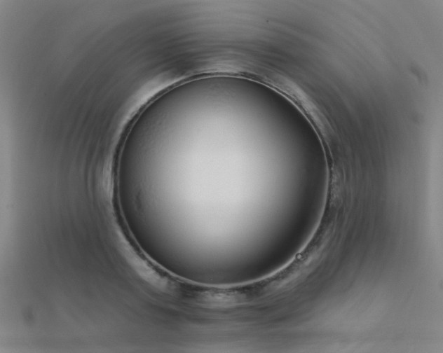 X0000112360795200908131454