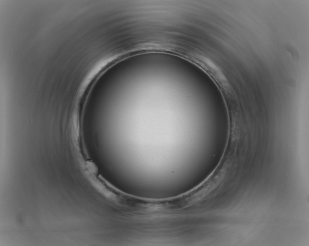 X0000112360796200908131454