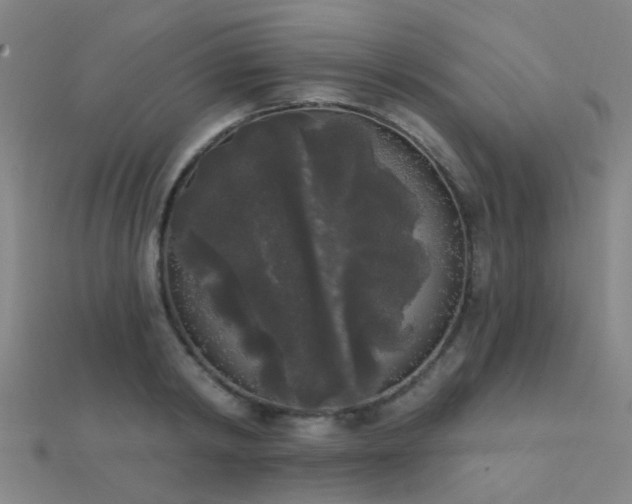 X0000112360798200908131454