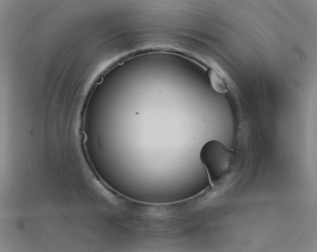 X0000112360799200908131454