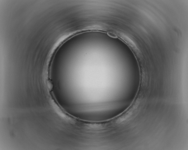 X0000112360800200908131454