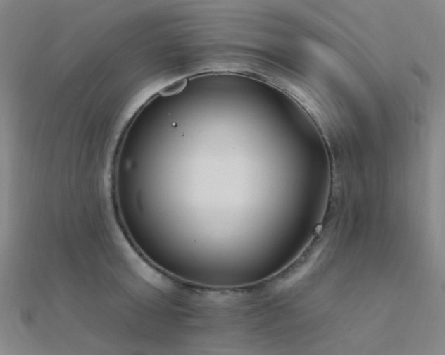 X0000112360803200908131454