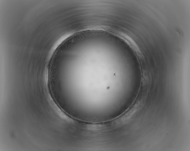 X0000112360804200908131454