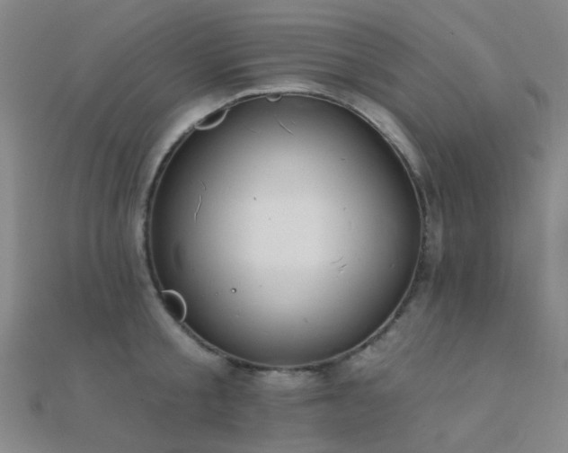 X0000112360805200908131454