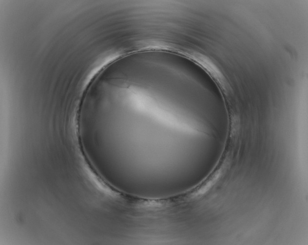 X0000112360806200908131454