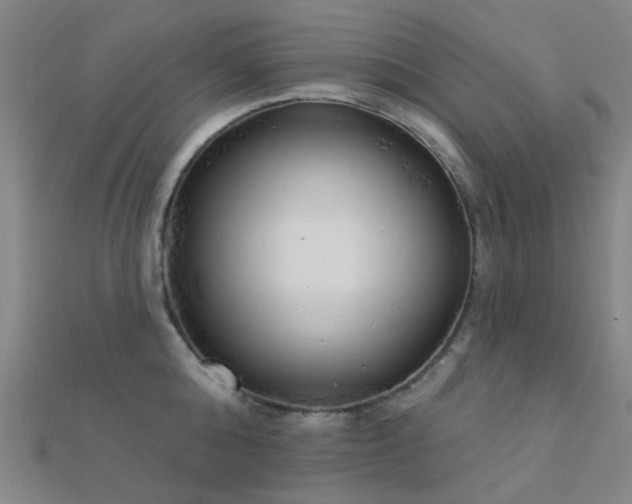 X0000112360808200908131454