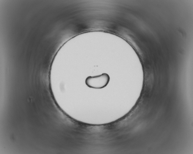 X0000112360810200908131454