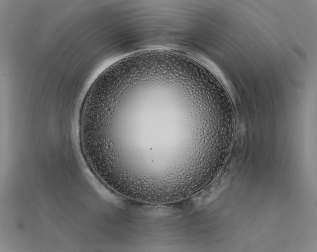 X0000112360811200908131454