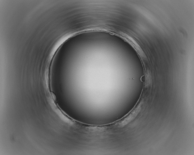 X0000112360812200908131454