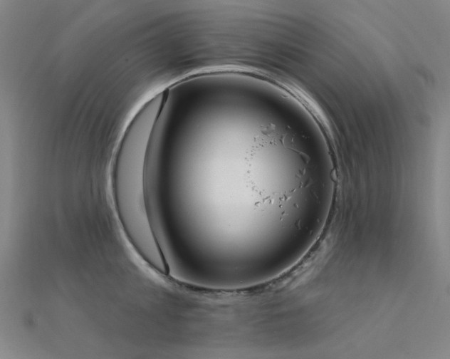 X0000112360813200908131454