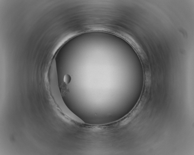 X0000112360814200908131454
