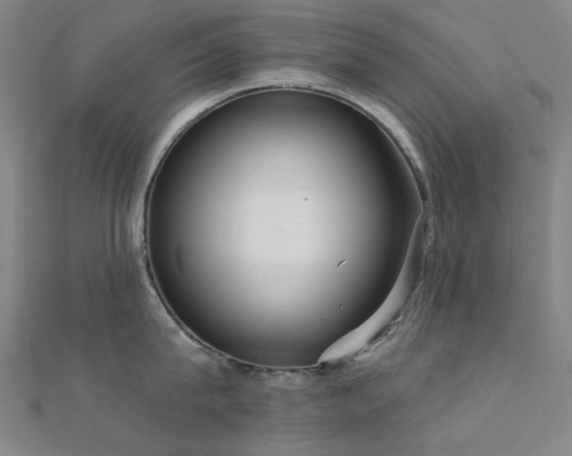X0000112360815200908131454
