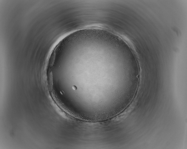 X0000112360816200908131454