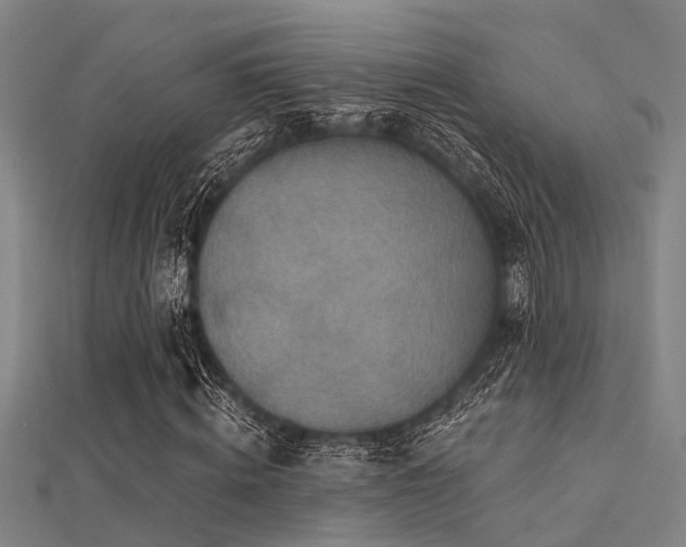 X0000112360820200908131453