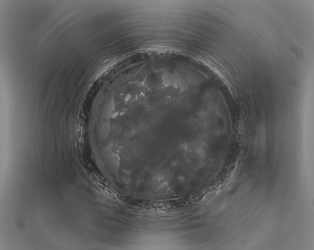 X0000112360823200908131453