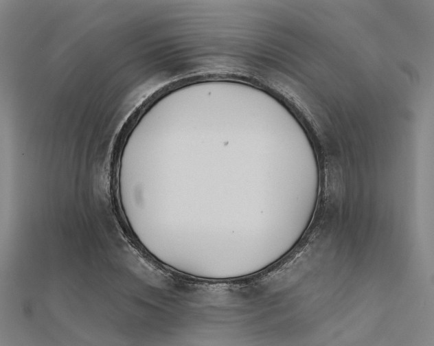 X0000112360828200908131453