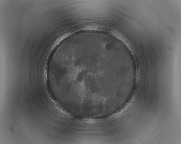 X0000112360829200908131453