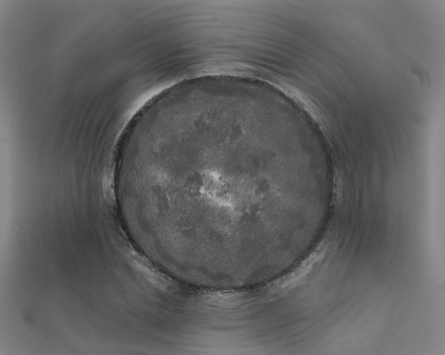 X0000112360830200908131453