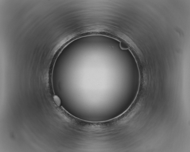 X0000112360834200908131453