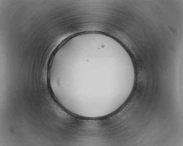 X0000112360836200908131453