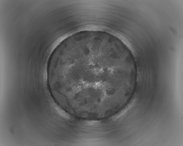 X0000112360837200908131453