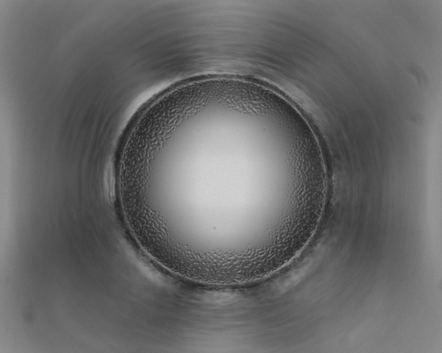 X0000112360838200908131453