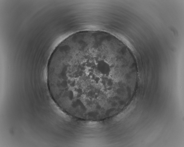 X0000112360839200908131454