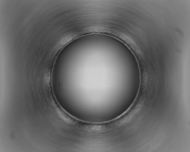 X0000112360841200908131454