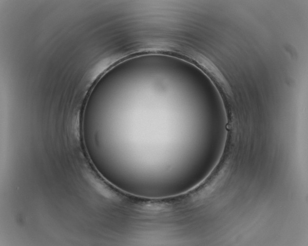 X0000112360842200908131454