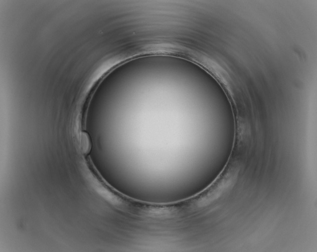 X0000112360843200908131454
