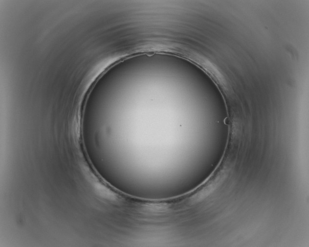 X0000112360844200908131454