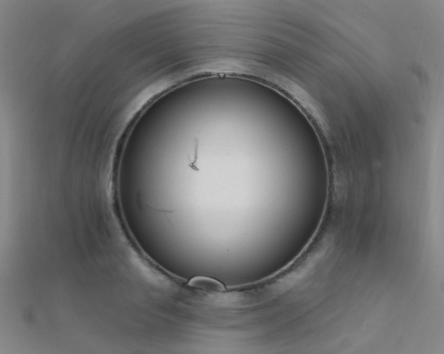 X0000112360845200908131454