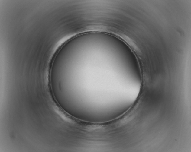 X0000112360846200908131454