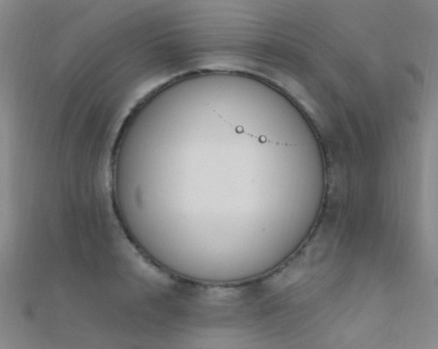 X0000112360848200908131454