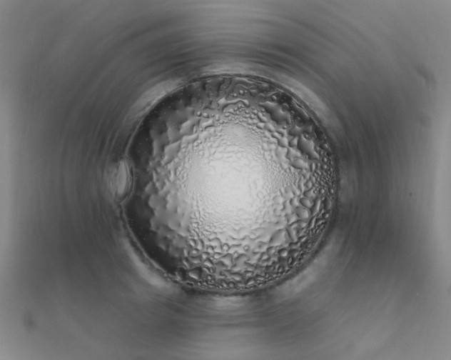X0000112360849200908131454