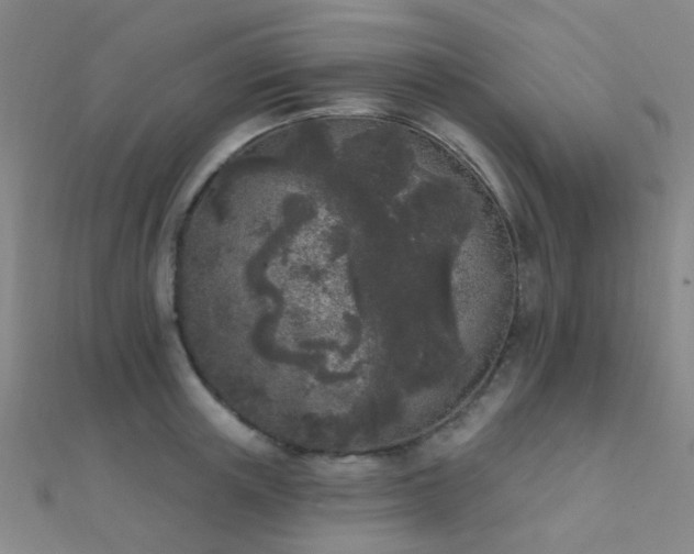 X0000112360851200908131454