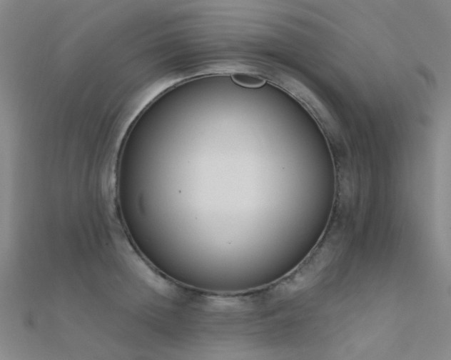 X0000112360852200908131454