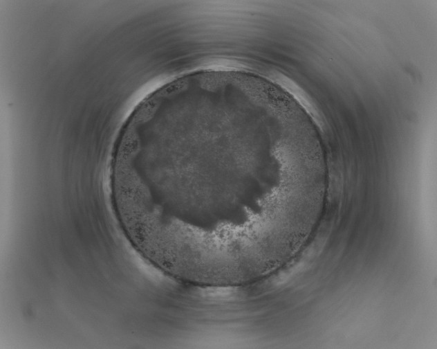 X0000112360853200908131454